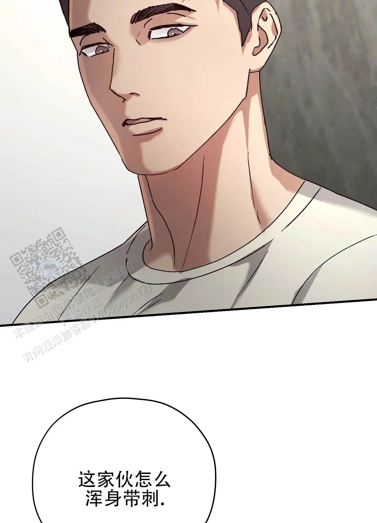 20.jpg