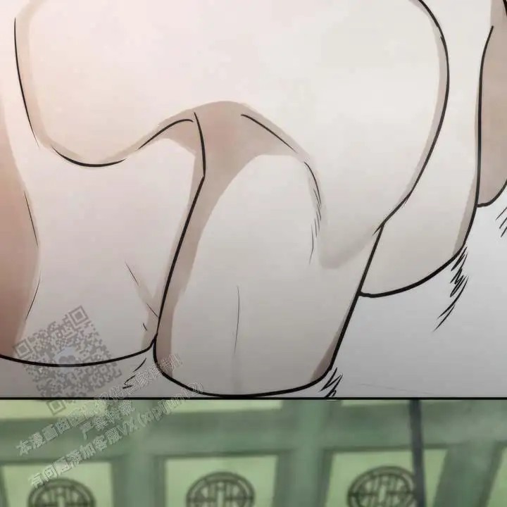 36.jpg