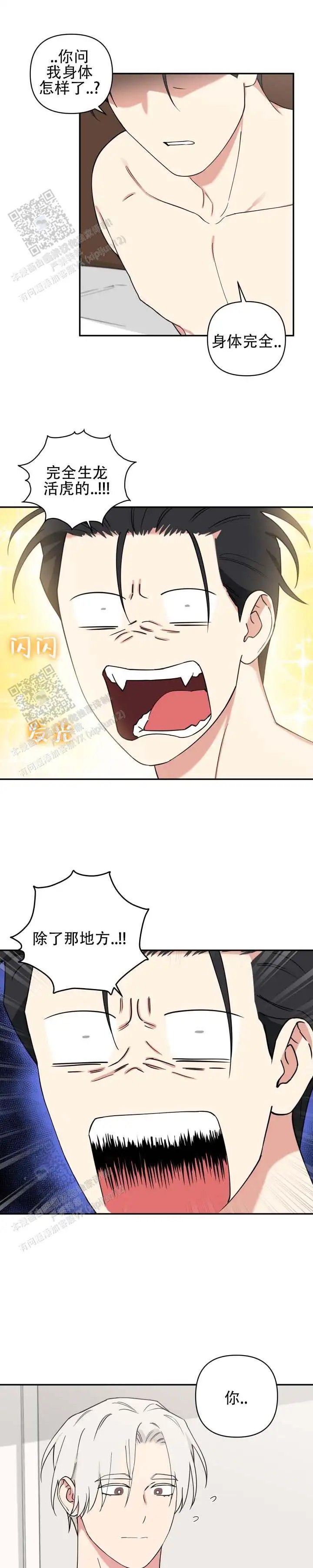 11.jpg