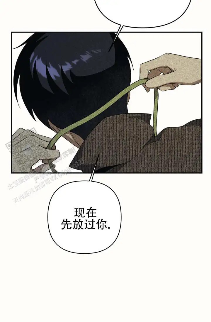 40.jpg