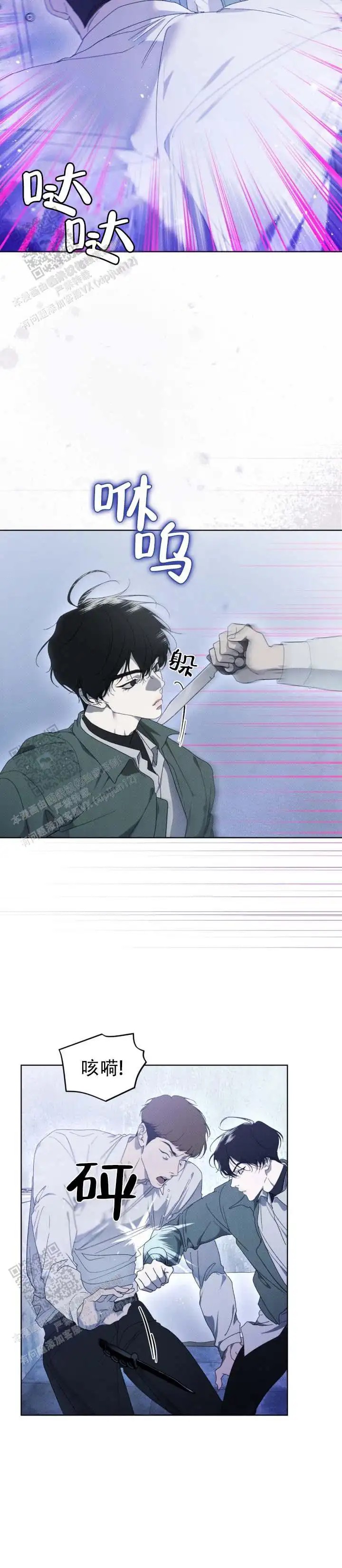 13.jpg