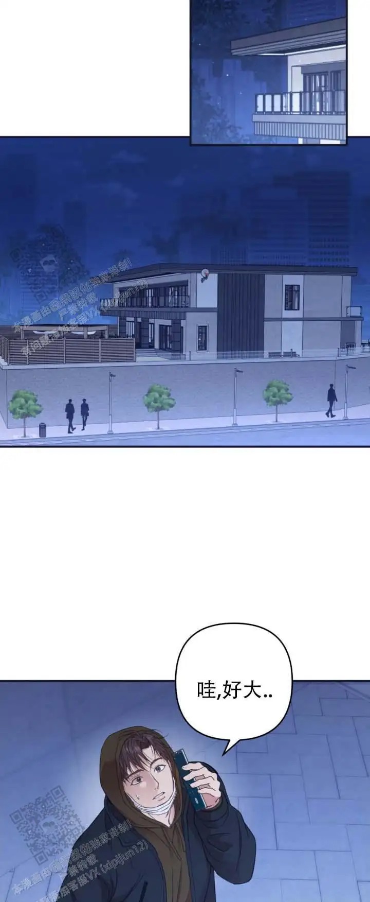 12.jpg