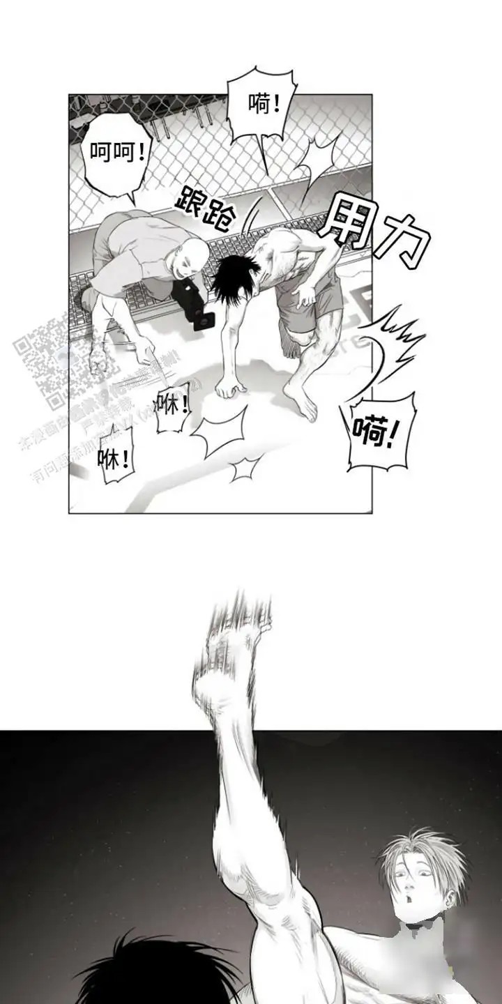 1.jpg