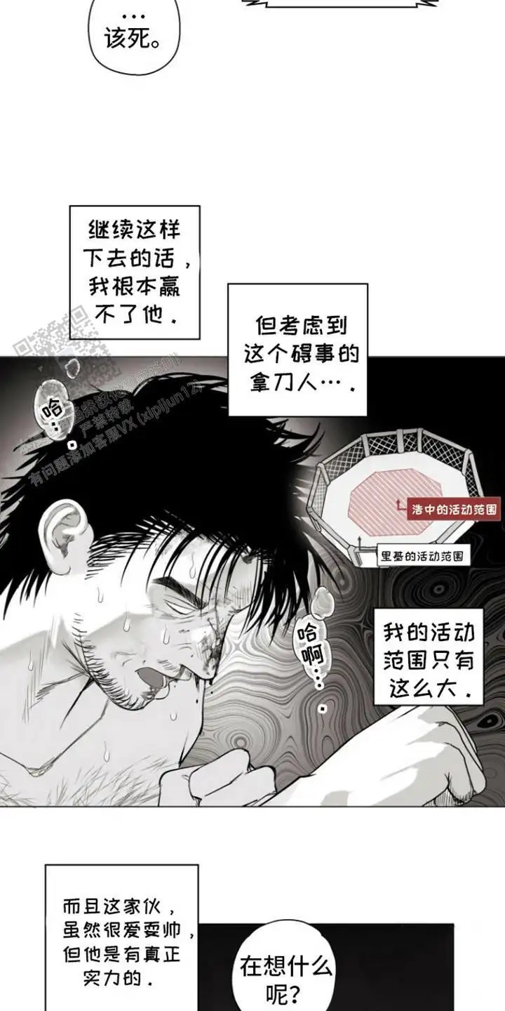 5.jpg