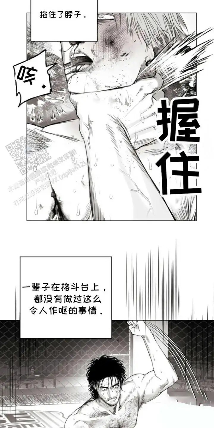 16.jpg
