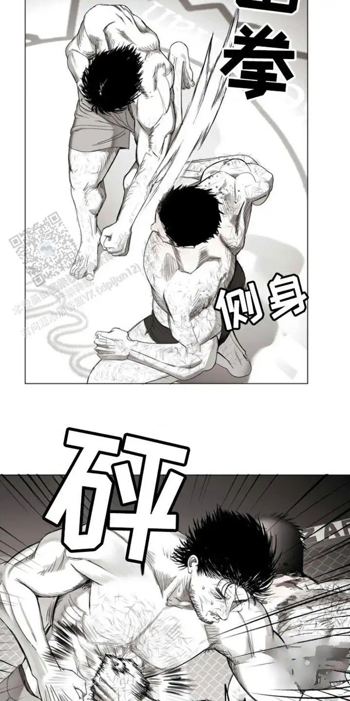 12.jpg