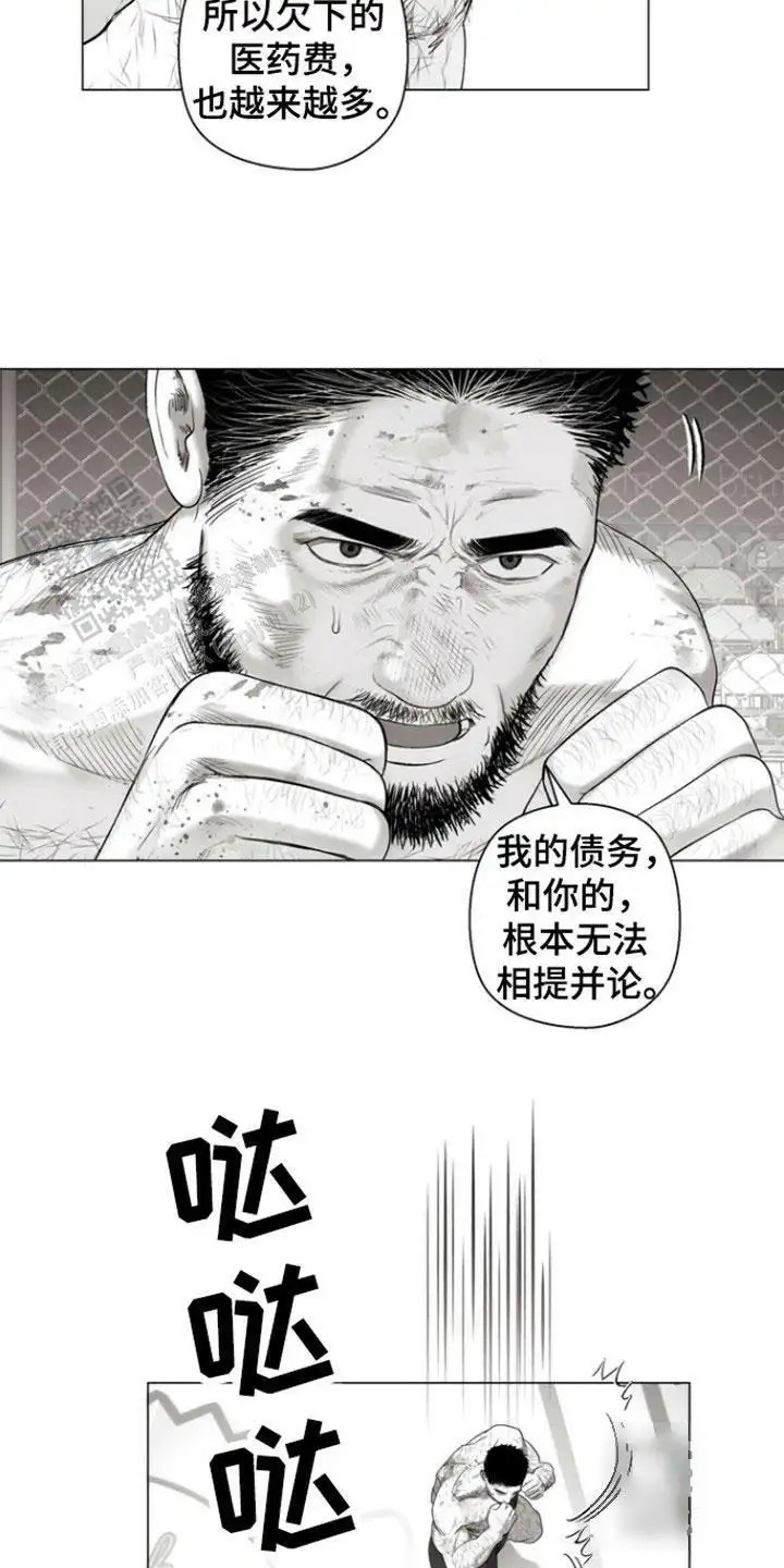 16.jpg