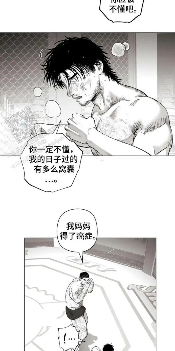 14.jpg