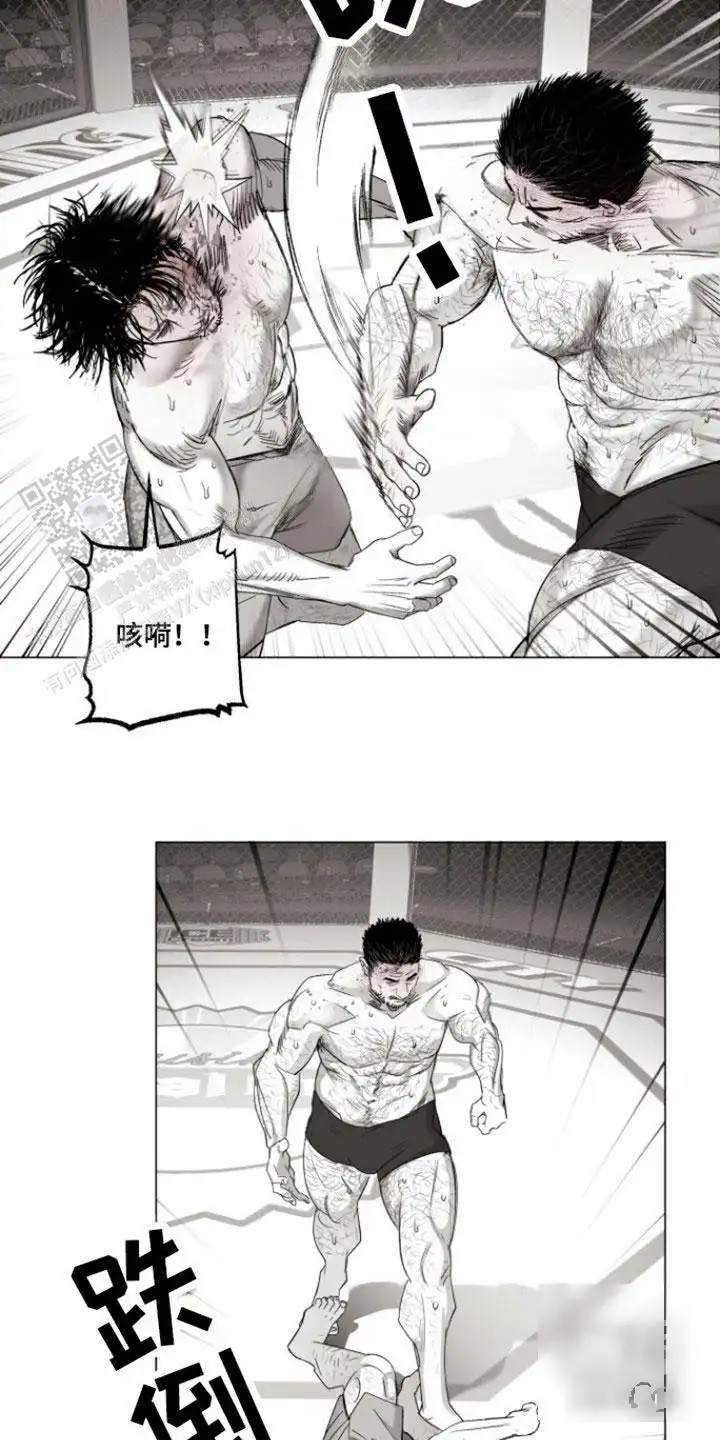 14.jpg