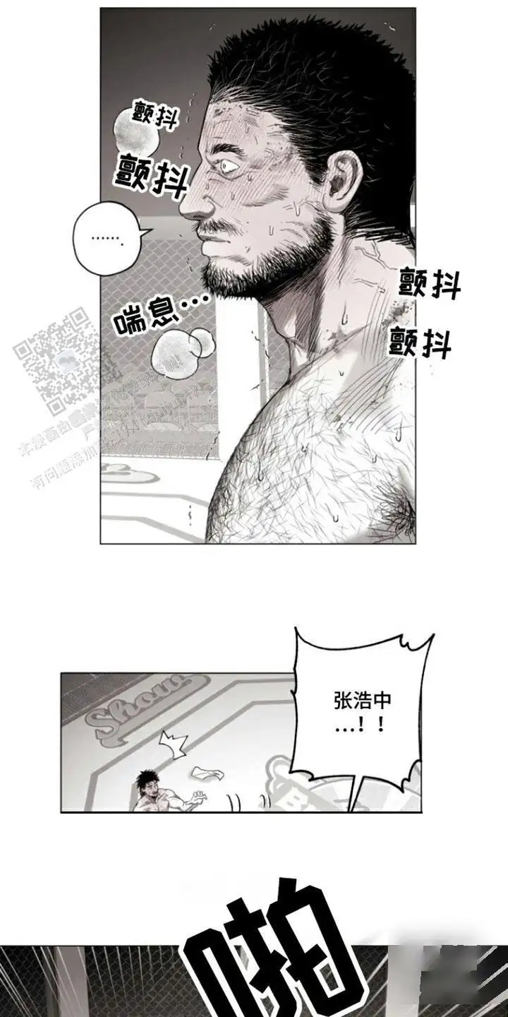 13.jpg