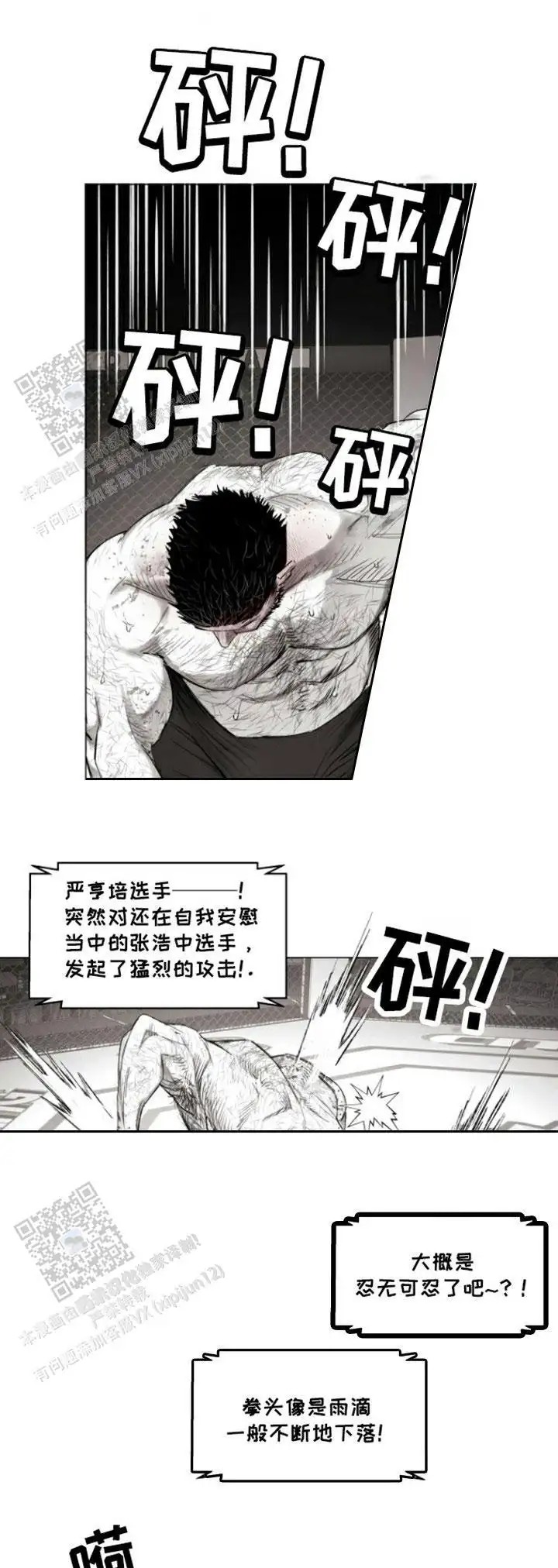 17.jpg
