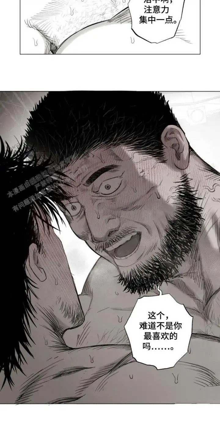 17.jpg