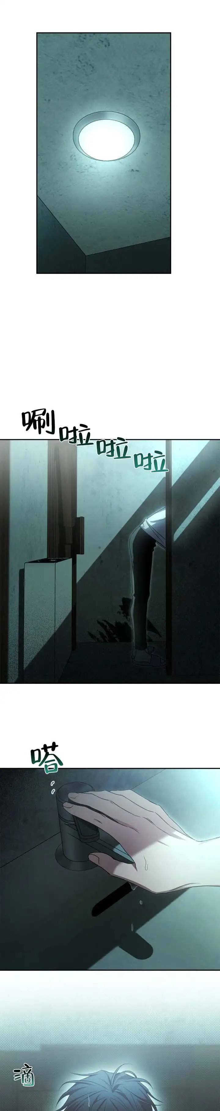 5.jpg