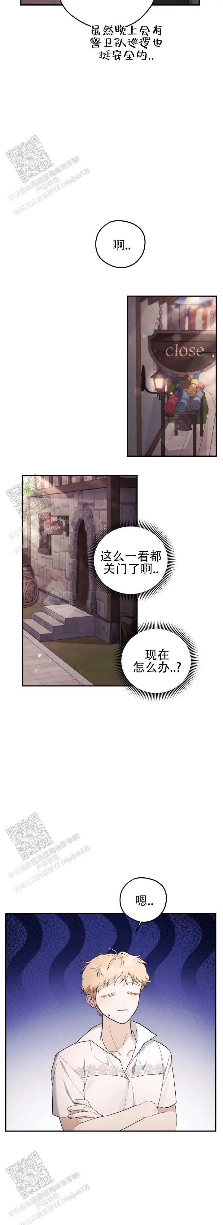 12.jpg