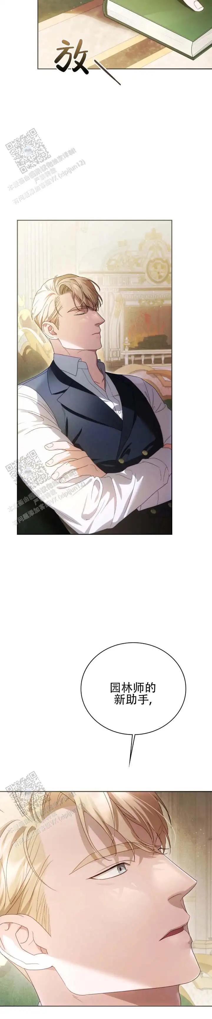 11.jpg