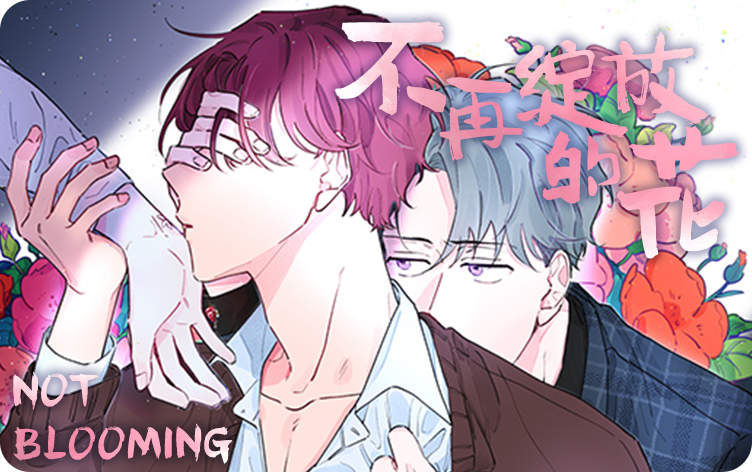 不再绽放的花漫画