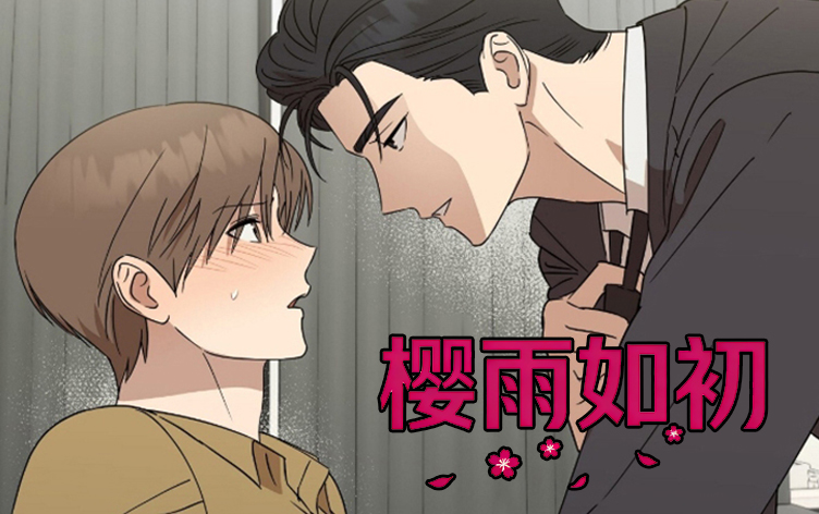 樱雨如初