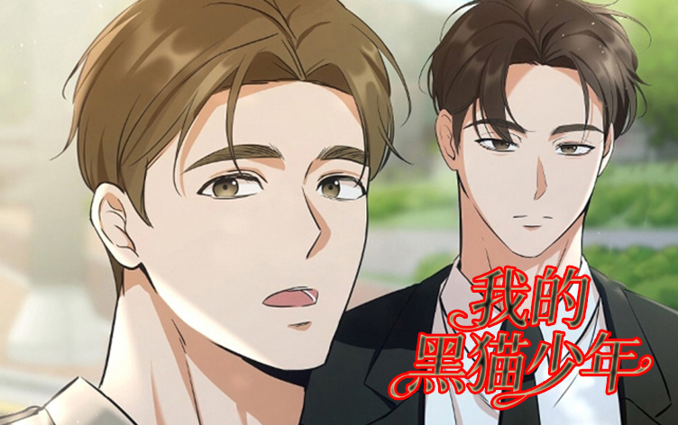 我的黑猫少年