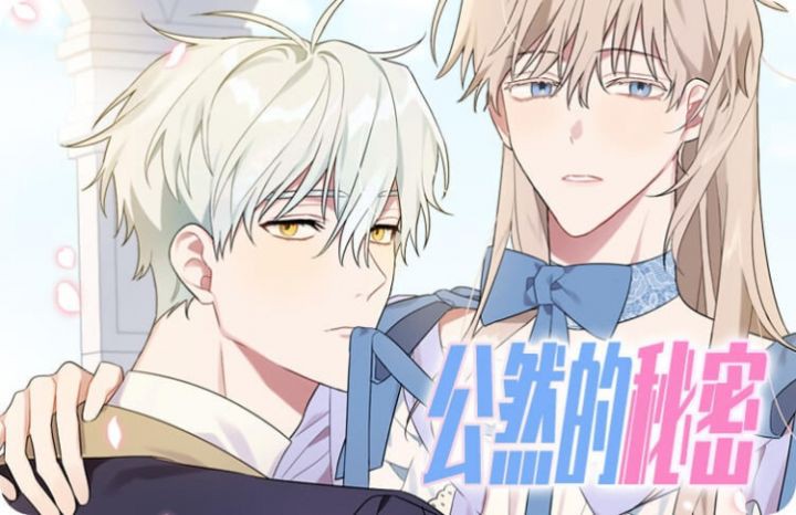 公然的秘密
