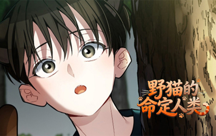 野猫的命定人类