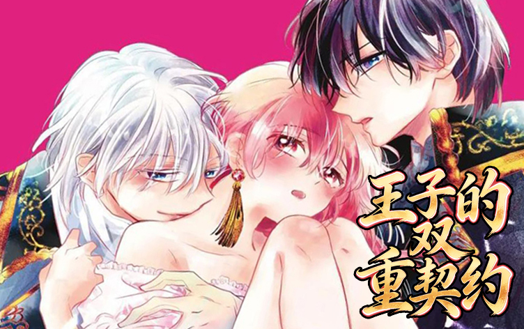 王子的双重契约