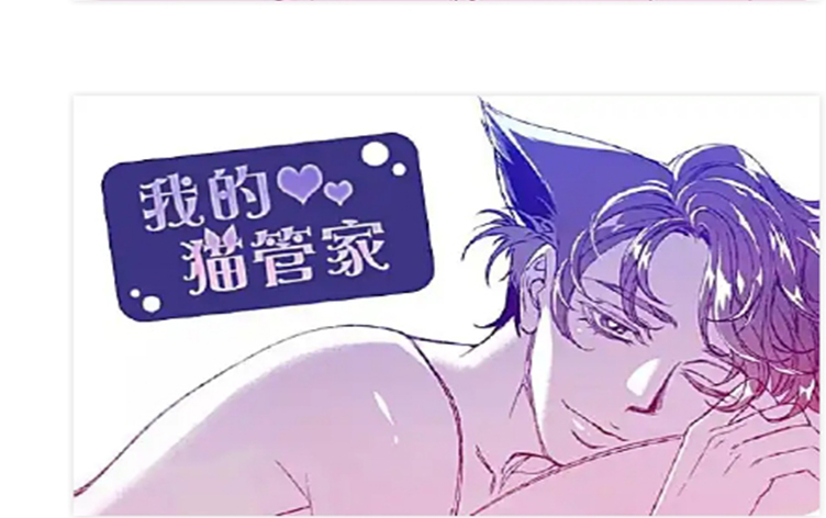 我的猫管家