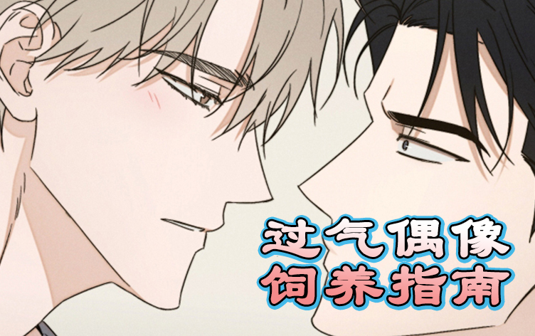 过气偶像饲养指南