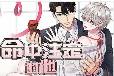 命中注定的他