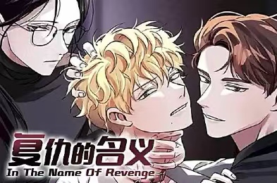 复仇的名义