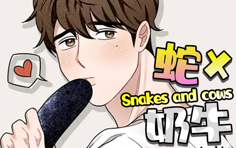 蛇与奶牛漫画