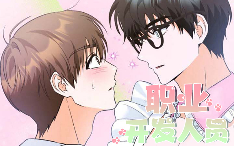 职业开发人员漫画