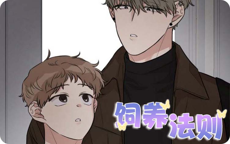 饲养法则漫画